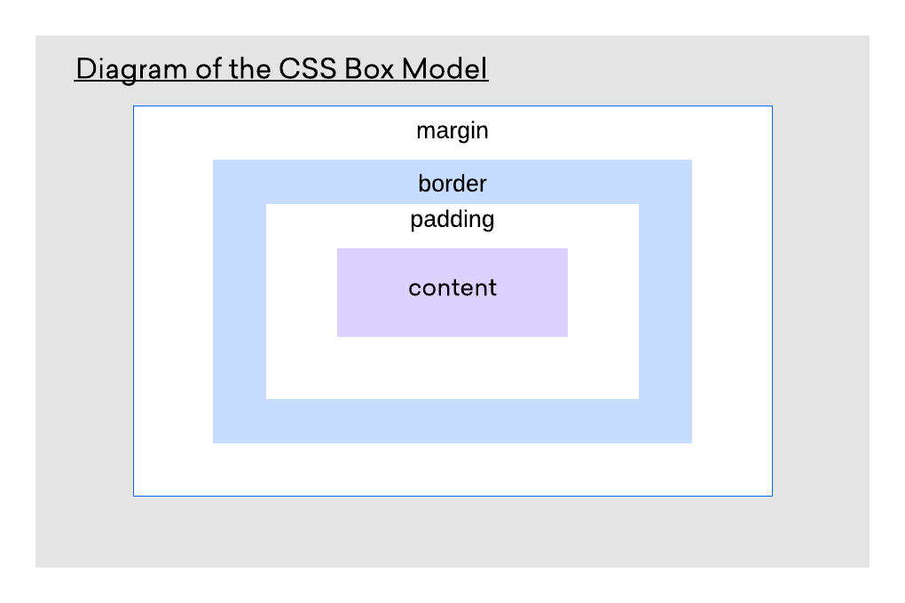 Div padding left. Margin CSS. Margin padding. Padding CSS. Html margin и padding.