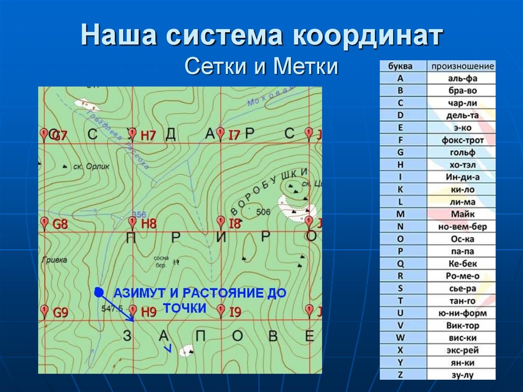 Карта с системой координат