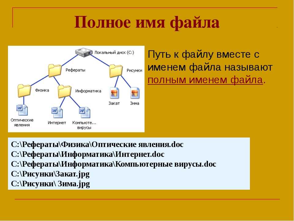 Наташа работая над проектом создала на флешке следующие файлы