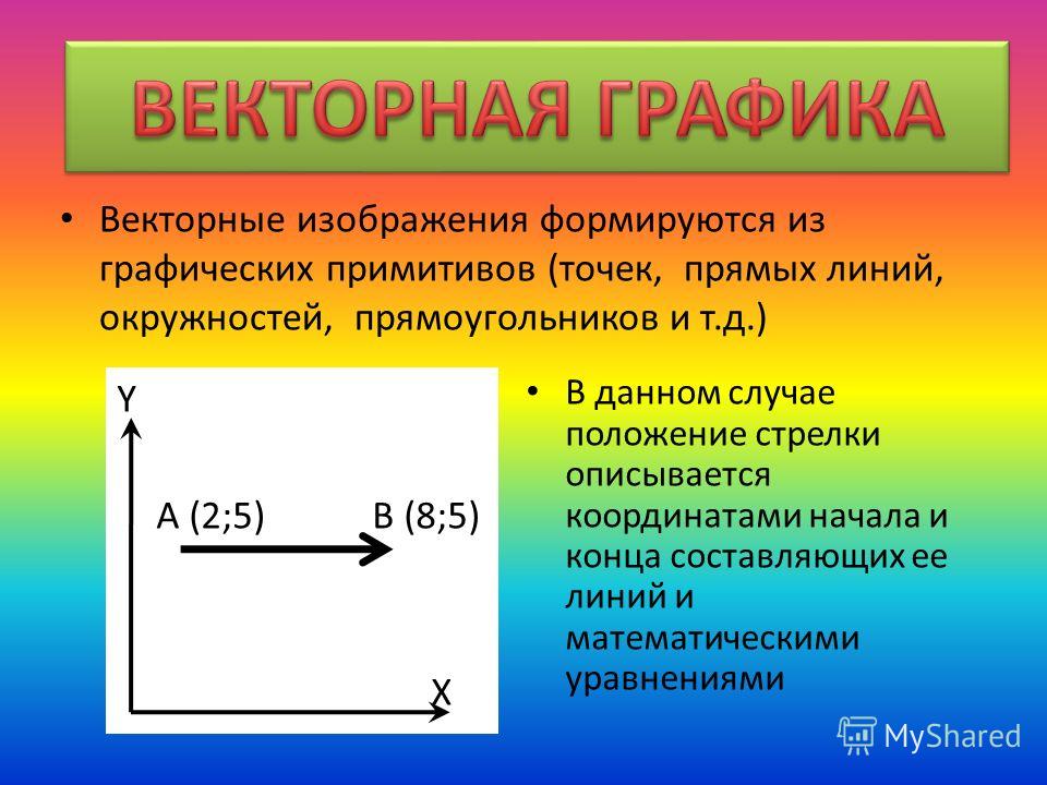 Из чего строятся векторные изображения укажите правильный