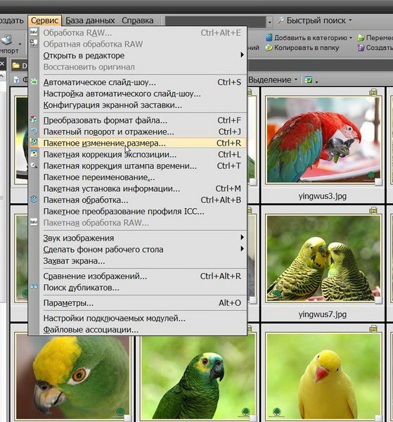 Сжать размер фото jpeg. Пакетное изменение размера изображения. Сжать фото. Программа для пакетного изменения размера изображений. Программа для уменьшения формата фотографий.