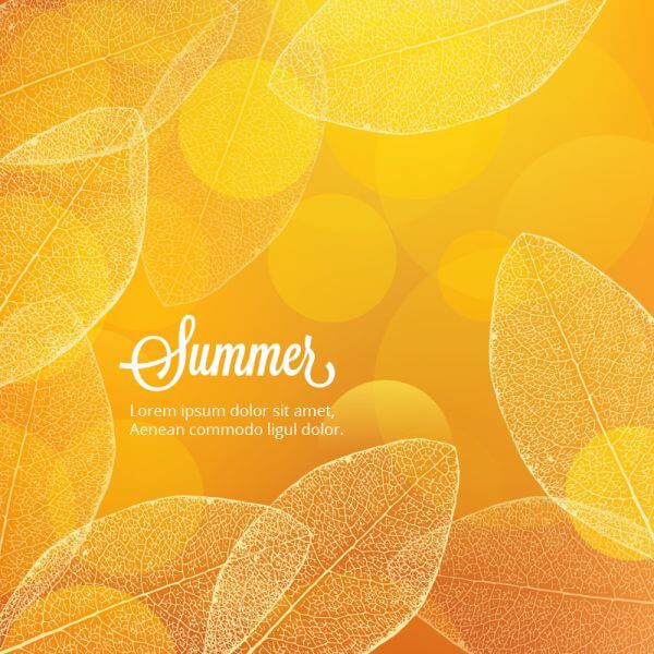 Summer illustration with leaves vector