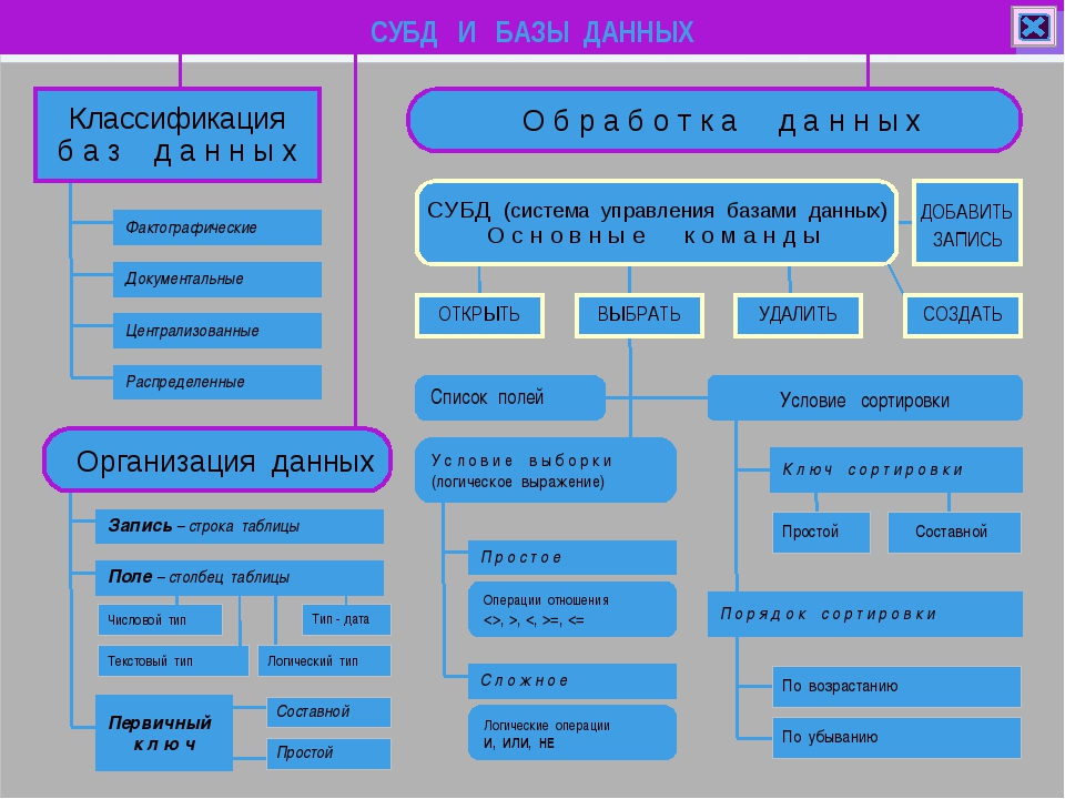 Функции базы данных. Классификация СУБД. Классификация систем управления базами данных. База данных и СУБД классификация. Классификации систем управления баз данных.