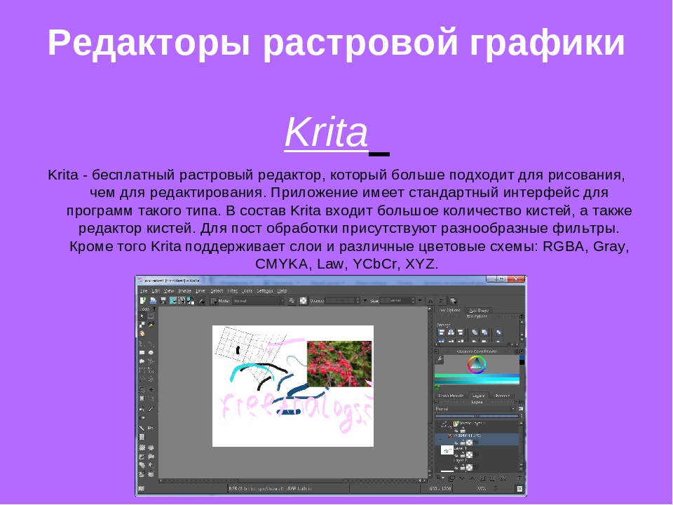 Редакторы растровой графики photoshop. Растровые редакторы. Редактор растровой графики Krita. Универсальные растровые редакторы. Программы для работы с растровой графикой.