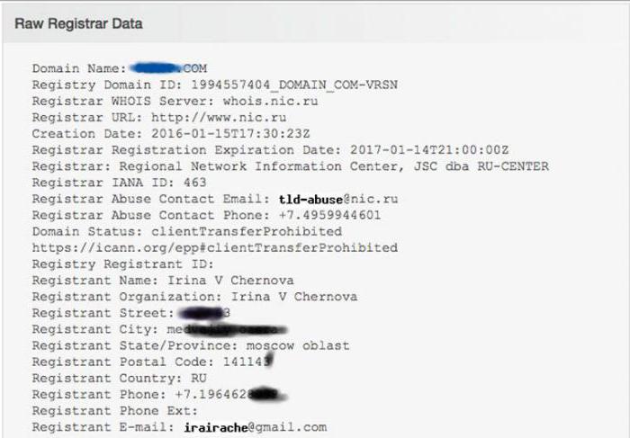 информация о владельце домена