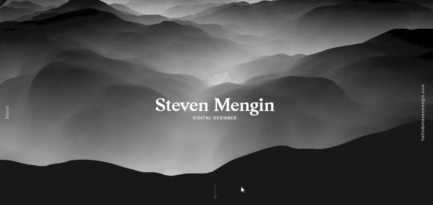 Steven Mengin Portfolio