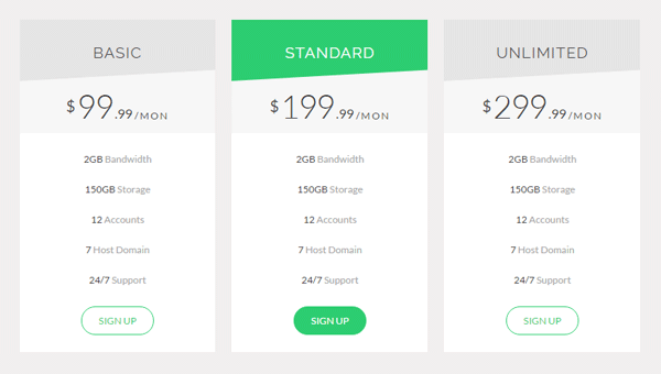 Demo Image: HTML And CSS Pricing Table