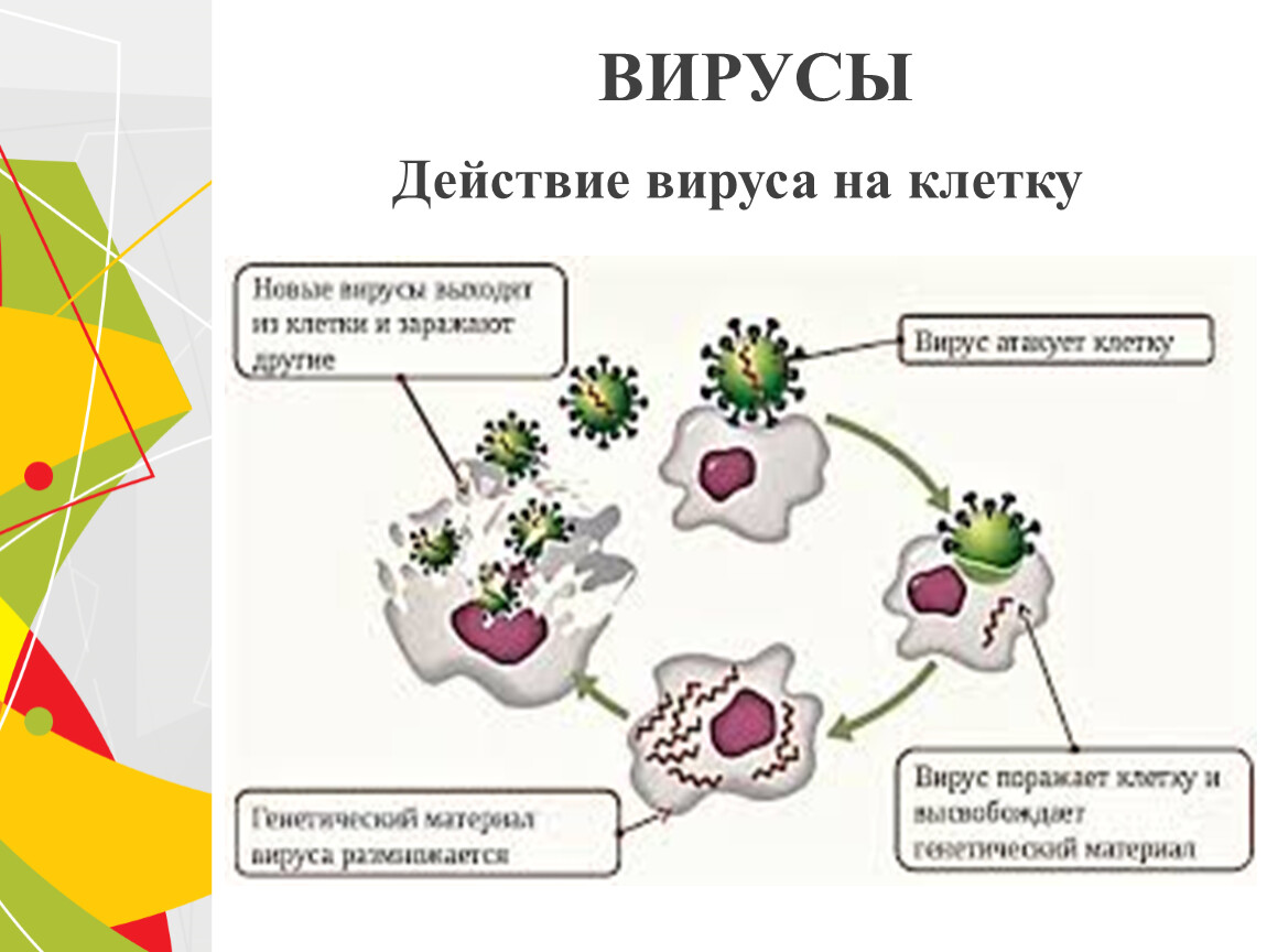 Почему utorrent определяется как вирус что делать