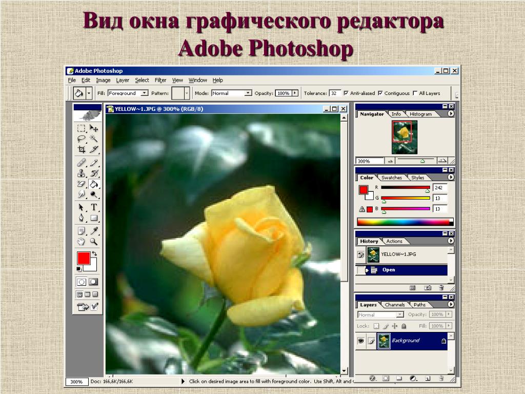 Компьютерные графические редакторы позволяют создавать изображения