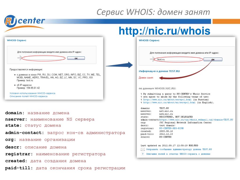 Reg ru whois. Сервис WHOIS. Дата регистрации домена. WHOIS домен. Описание домена в WHOIS.