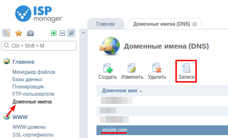 ресурсные записи в ispmanager5 