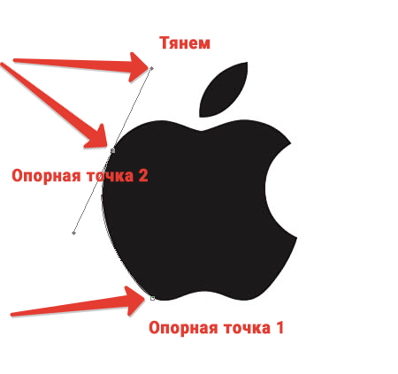 Выделение Пером в Фотошопе