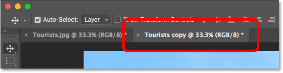 The copy of the image opens in a separate Photoshop document