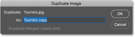 The Duplicate Image dialog box in Photoshop