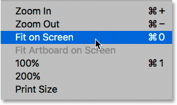 The Fit on Screen option under the View menu. 