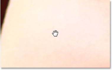 The mouse cursor icon for the Hand Tool. 