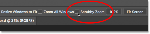 Disabling Scrubby Zoom in Photoshop