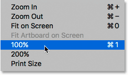 Selecting the 100% option from under the View menu. 