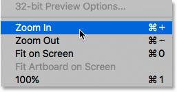 The Zoom In and Zoom Out options under the View menu. 