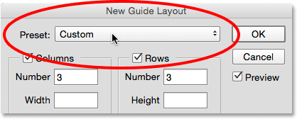 Clicking the Preset box in the New Guide Layout dialog box. 