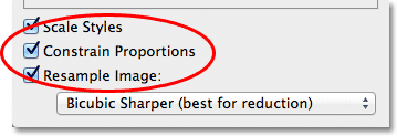 The Constrain Proportions option in the Image Size dialog box. Image © 2012 Photoshop Essentials.com