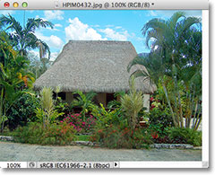The image after resizing it by 50 percent in Photoshop. Image © 2012 Photoshop Essentials.com