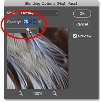 Adjusting the image sharpening amount by lowering the High Pass filter opacity