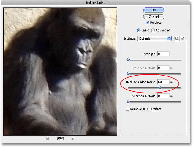 The color noise in the image has been removed with the Reduce Noise filter in Photoshop. Image © 2010 Photoshop Essentials.com