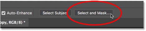 Opening the Select and Mask workspace in Photoshop CC