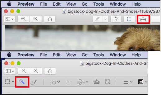 Make Photo Background Transparent - Use Markup Toolbar