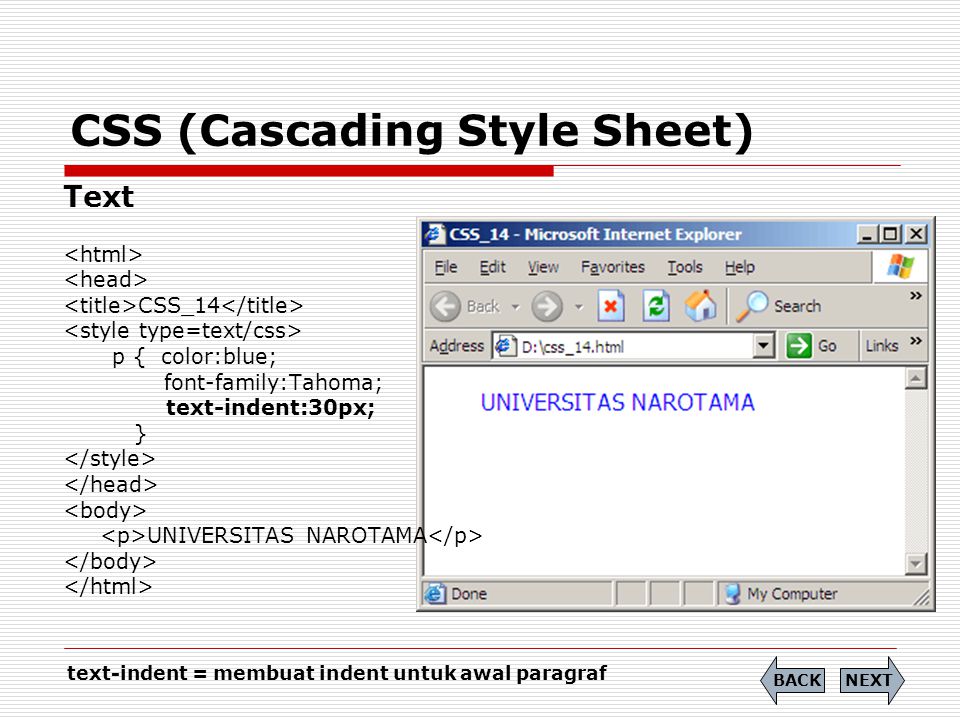 CSS+%28Cascading+Style+Sheet%29