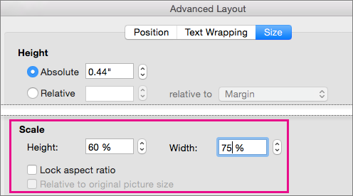 On the Size tab in the Advanced Layout box, the Scale options are highlighted.