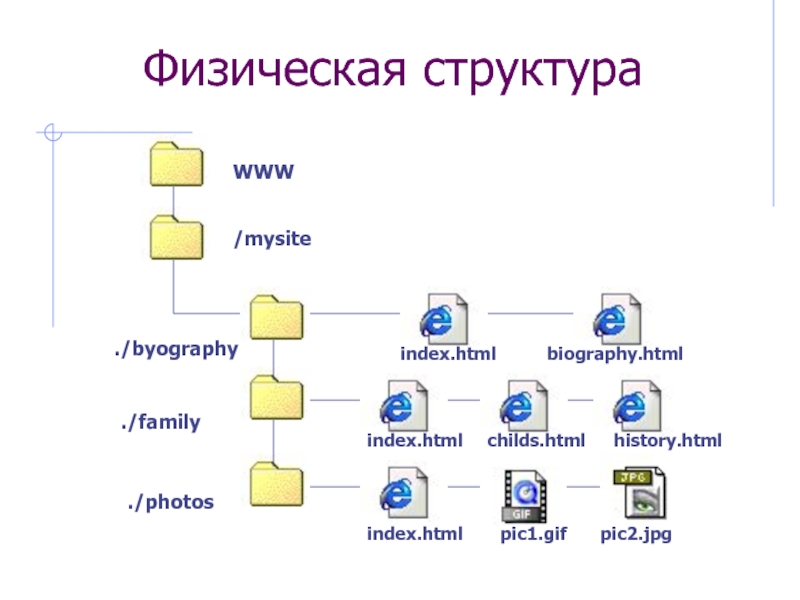 Файловая структура сайта что это