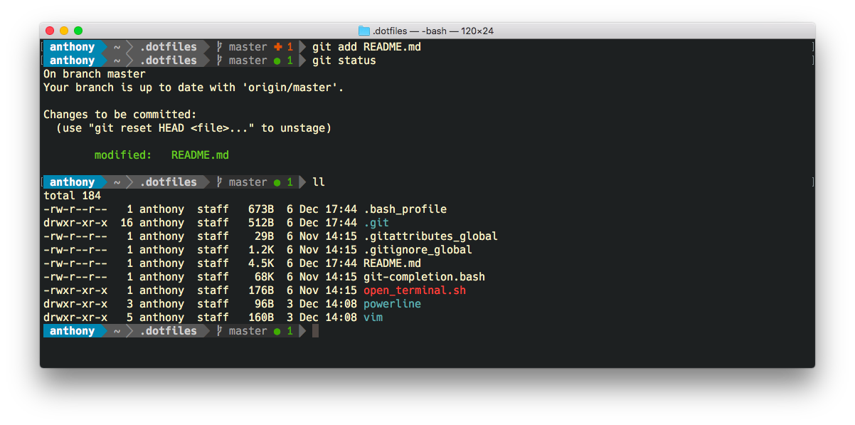 Git bash