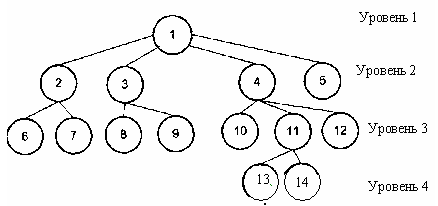 Иерархическая база данных. Иерархическая модель данных.